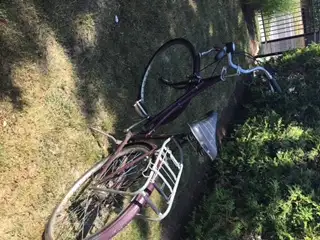 vintage woman's bicycle, View more