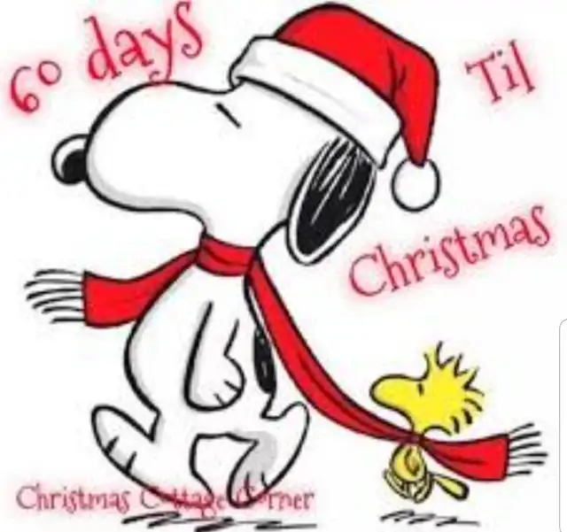 Start to Panic!!!