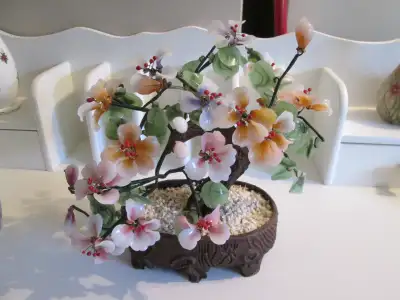 Bonsai tree, View more