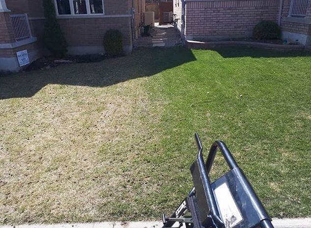 DoubleAERATION AND DETHATCHING INSTANT  PRICING  TEXT 6472295873 in Lawn, Tree Maintenance & Eavestrough in Markham / York Region