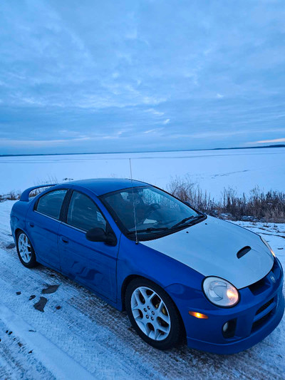 2004 Dodge neon SRT4