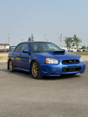 2004 Subaru Impreza WRX STi WRX STi w/Gold Wheels