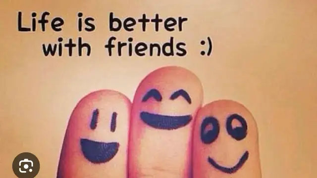 Seeking Friendship441979503379763200