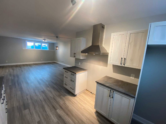 Luxury Lower Unit - Semi Detached Home in Long Term Rentals in Ottawa - Image 2