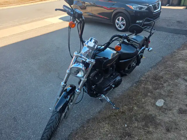 2007 Harley Davidson Sportster 883 in Street, Cruisers & Choppers in Saint John - Image 6