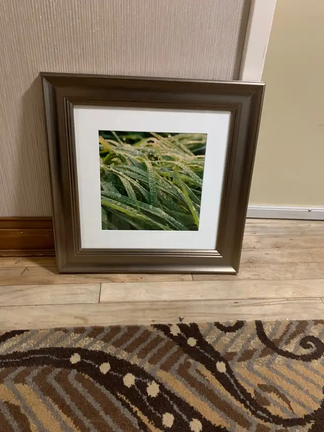 Wall Hangings64840233176707120