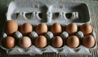 Farm eggs