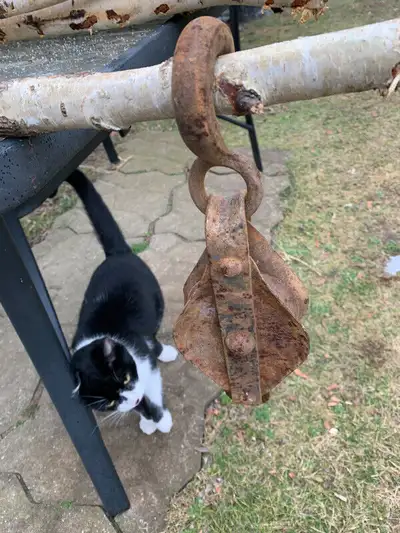 Hanging Vintage Pulley, $50, View more