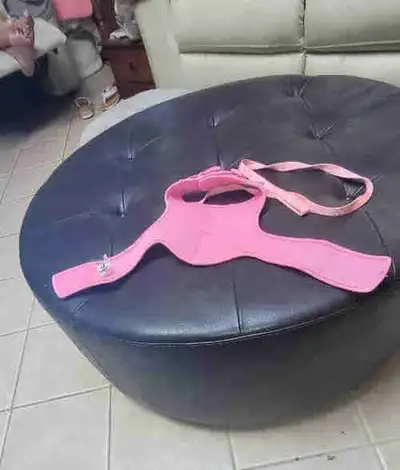 top Paw medium dog harness and leash., View more