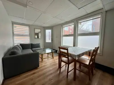 Downtown Furnished 41/2 For Rent