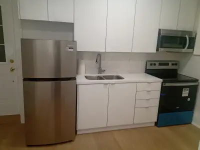 Beautiful one bedroom basement apt for rent. Recently fully renovated with many upgrades including s...