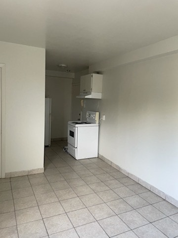 Appartement 2 1/2 à louer - Boul St-Michel — photo 3