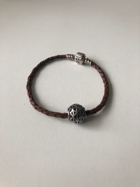 Pandora Bracelet + Charm