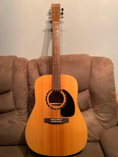 Norman Encore B20 Acoustic Guitar with hardcase, View more