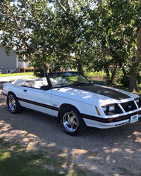 1983 Mustang GLX Convertible