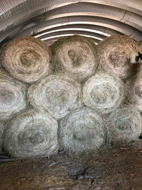 HAY FOR SALE