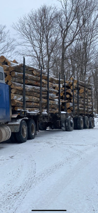 Log Length Firewood Delivered 