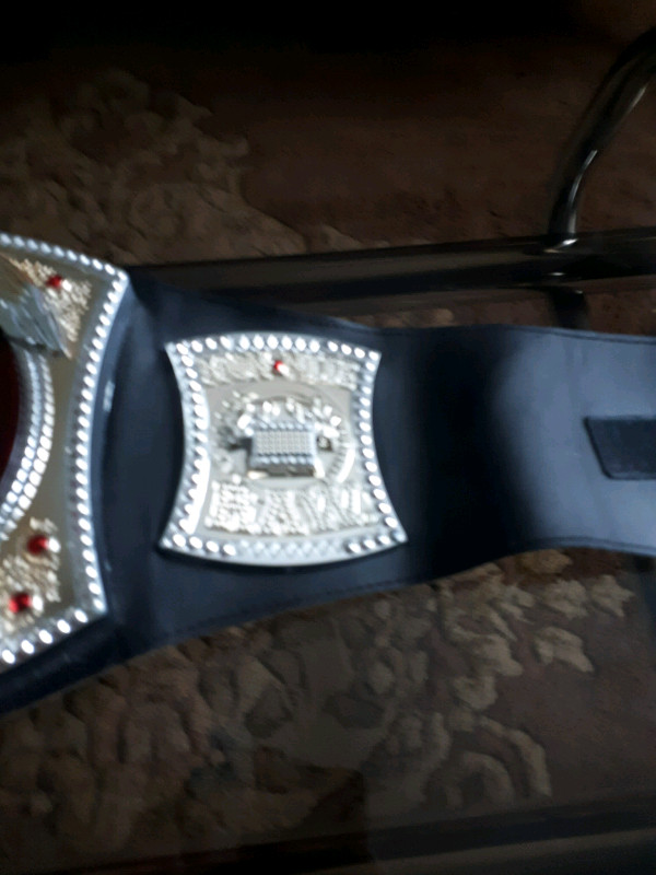WWE Championship Title Belt Electrovision Electronic  Raw Works in Toys & Games in Oakville / Halton Region - Image 4