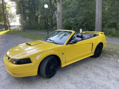2004 ford mustang GT Convertable 40th Anniversary 243km, v8 4.6L, manual 5spd transmission Runs good...