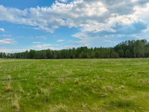 3 purchase options available - 16.72 ha parcel (41.3 acres); 15.94 ha parcel w/ oil revenue (39.3 ac...