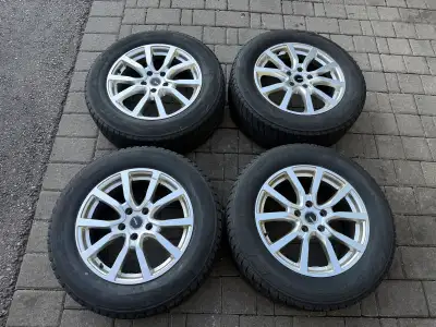 The tires are old and should be replaced, Bridgestone winter tires are included. Rims are good condi...