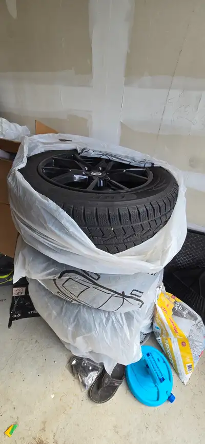 I have a set of 4 winter tires on alloy rims for sale. I used them only last winter on a 2024 Nissan...
