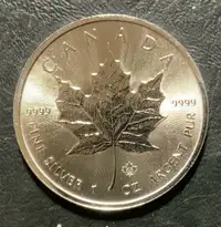 Silver Maples & Silver Dollar Coins