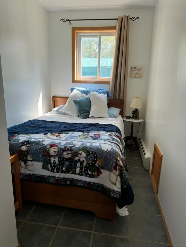 Winter Home for rent Nov 1- May 1 in Ontario in Canada - Image 11