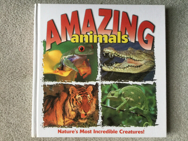BRAND NEW - LESS THAN HALF PRICE- AMAZING ANIMALS in Children & Young Adult in Hamilton
