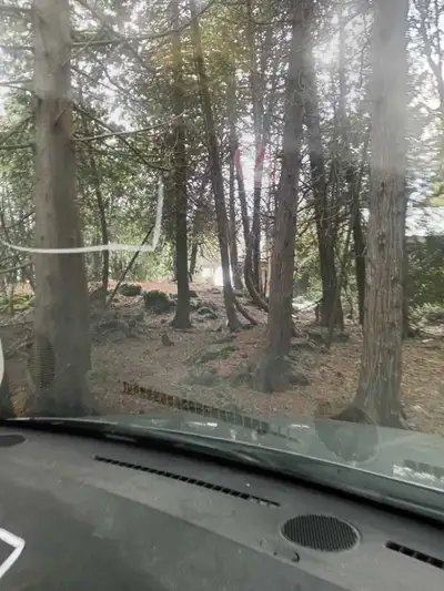 driving job all u need is a hitch, View more