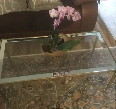 Gold coffee table with glass top in good condition.Be the first one to pick it…. Before it’s gone ….