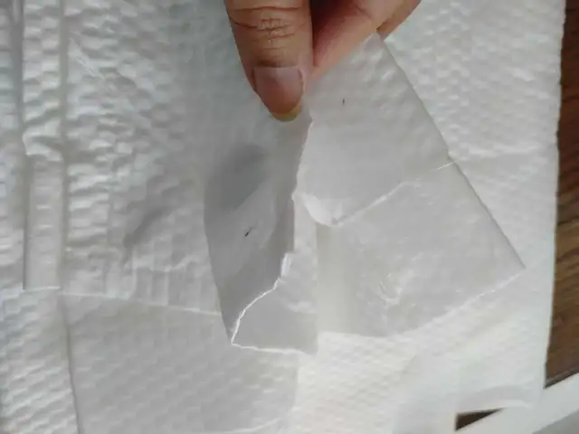 Shower Curtain with rings in Bathwares in Gatineau - Image 4