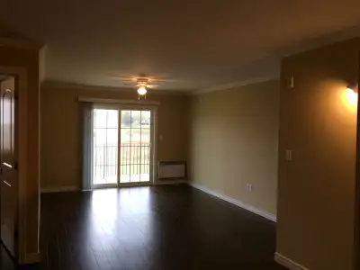 Open concept spacious living room/kitchen,kitchen with lots of cupboards and island . Bathroom with...