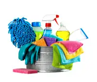 Looking for House Cleaner - Deep Clean Session