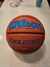 Wilson Evolution Basketball 28.5 Size 6 Ball