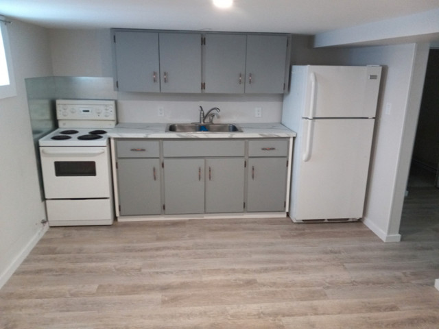 Cumberland St N - Basement apartment for rent in Long Term Rentals in Thunder Bay