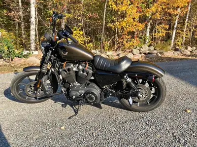 2020 Harley Iron 883 (1200 Conversion) – Only 5,200 KM Clean, powerful, and fully upgraded Sportster...