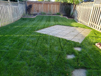 Lawn Care Magic with my landscaping wizardry!