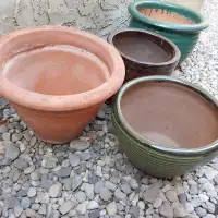 Large Ceramic plant pots