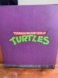 Teenage Mutant Ninja Turtles Bebop & Rocksteady