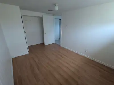 Basement Apartment For Rent