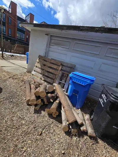 Free Firewood @ 514 30 Street Northwest, Calgary, View more