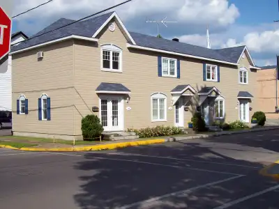 DISPONIBLE 1ER JUIN- CENTRE-VILLE JOLIETTE- PAS D`ANIMAUX- SPLENDIDE 4 1-2 SUR 2 ÉTAGES(MAISON DE VI...