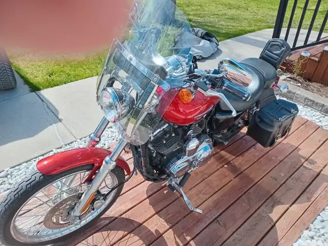 2008  HD Sportster 1200 Custom in Street, Cruisers & Choppers in Belleville - Image 3