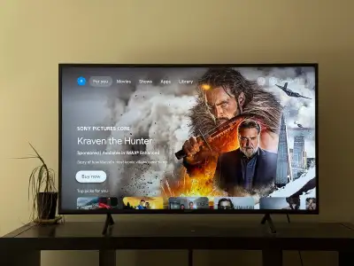 1 year old Sony google smart tv. Hasn’t had much use. Model Sony 50" 4K UHD HDR LED Smart Google TV...