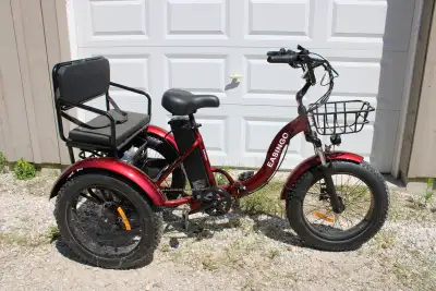 NEW  $2000 e-trike for $500, View more