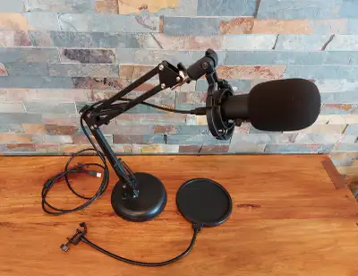 Furine USB Condenser Mic - For Recording, Gaming, Podcast, etc., View more