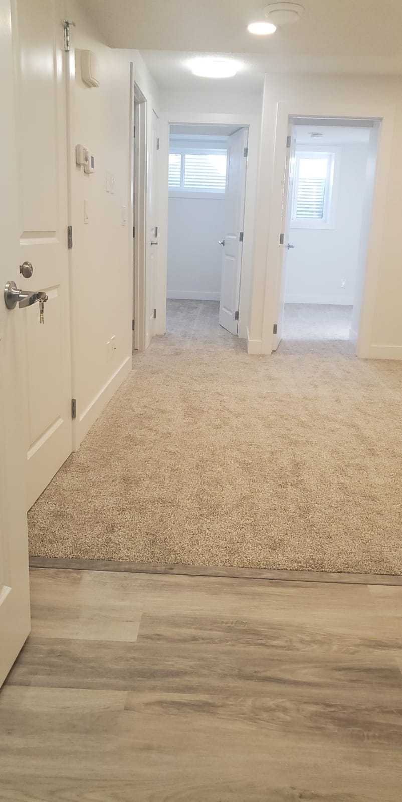 Savanna N.E. 2 Bedroom basement suite 2