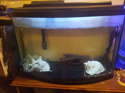 33 gallon dome front fish tank, View more