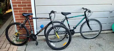 two bicycle for a 100, View more